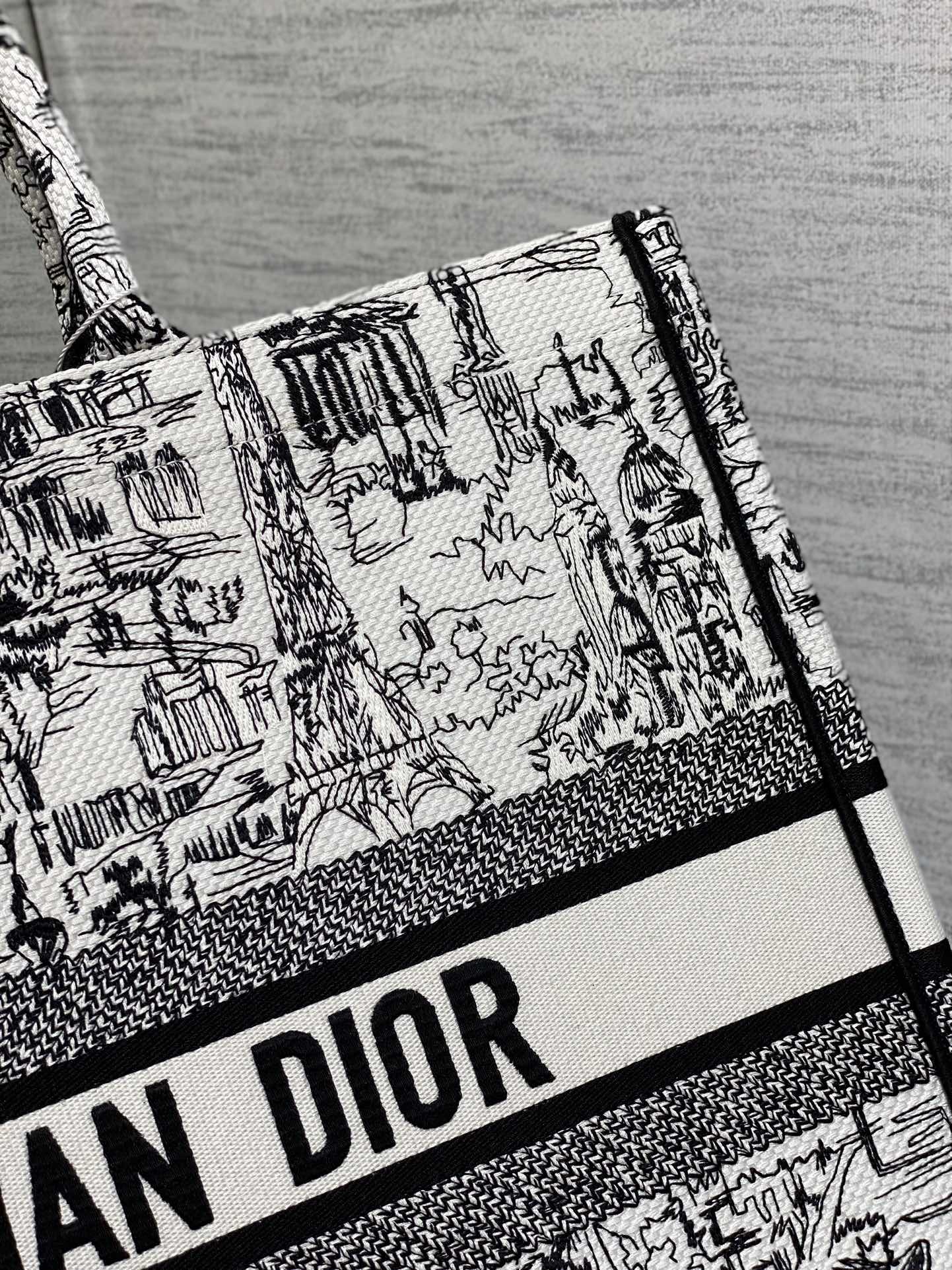 Large Dior Book Tote Bag White and Black Paris Allover Embroidery